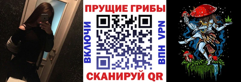 kraken ТОР  дарнет шоп  Вышний Волочёк  Псилоцибиновые грибы ЛСД 